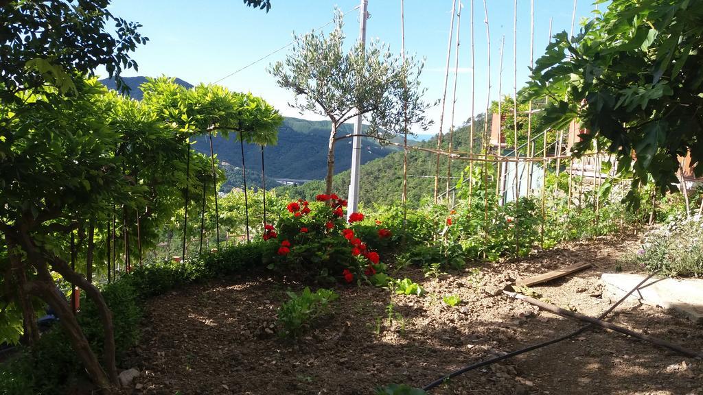 Apartmán Olivella Caminata N 41G Casarza Ligure Exteriér fotografie